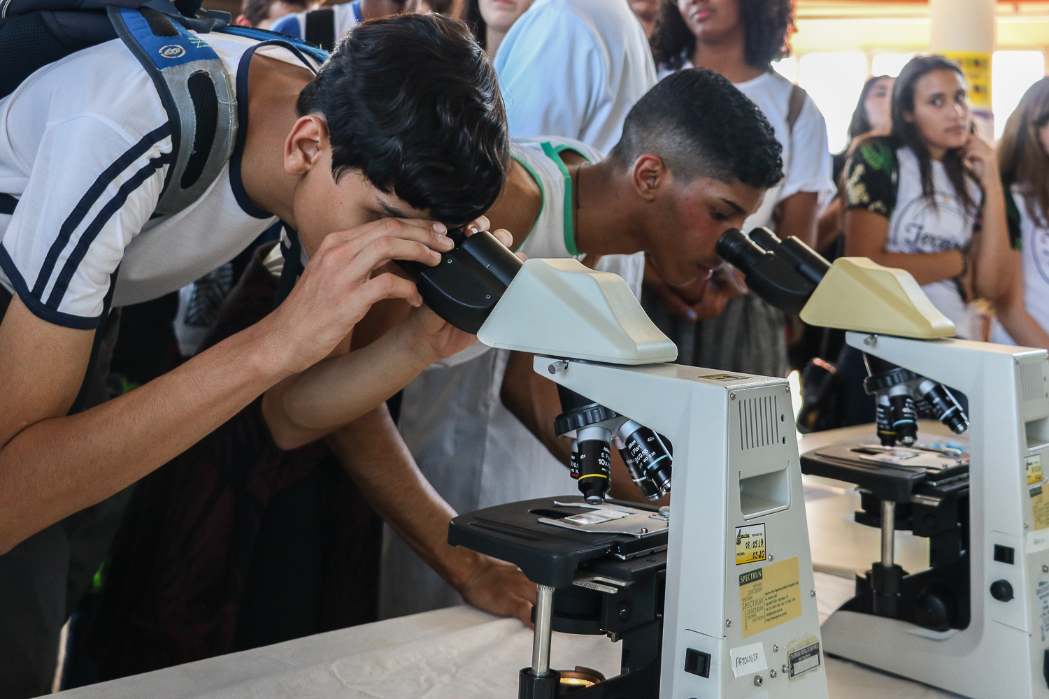 Estudantes em fila usando microscópios